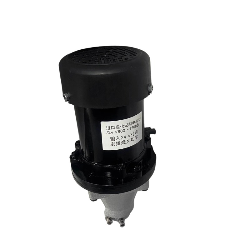 12V-60V 500W-1500W Brushless O - Fishing Boat Outboard Motor recension och pris