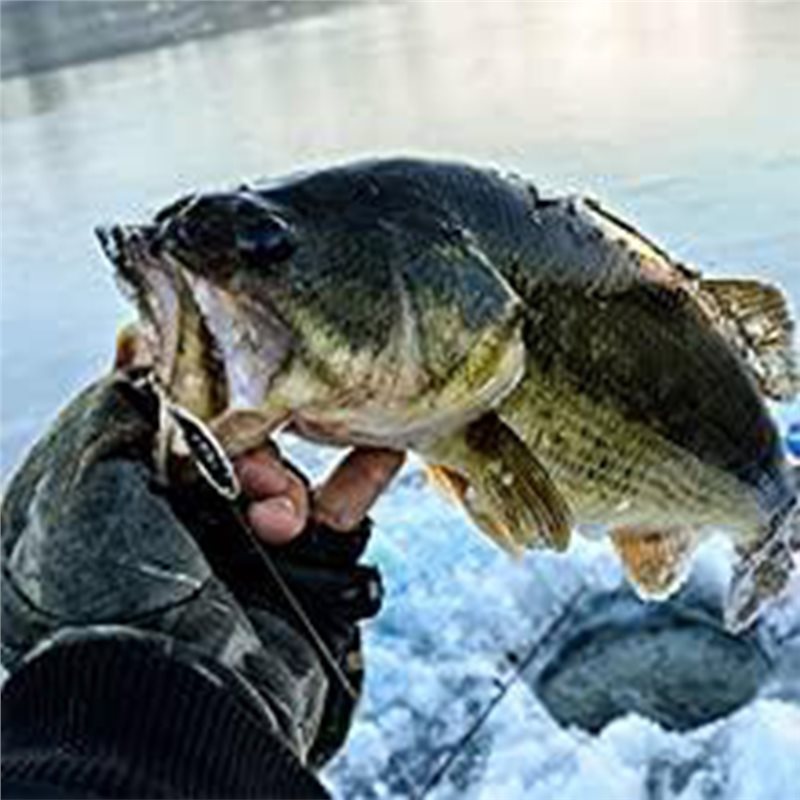 ABLB-Kayak Boat Fishfinder Tra - Fishing Boat Depth Finder recension och pris